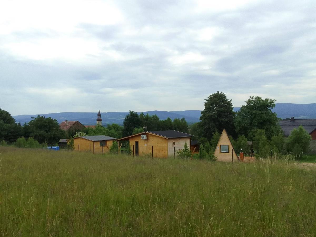 Szalas W Gorach Izerskich, Blisko Swieradow Zdroj I Zamek Czocha, Agroturystyka, Ogrzewanie, Klimatyzacja , Plac Zabaw, Ognisko Z Rusztem I Kijkami, Zywe Zwierzeta, Latem Basen Mirsk Εξωτερικό φωτογραφία